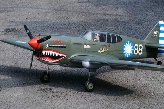 P-40 AVG 60 size EP-GP フライングタイガース 両用機