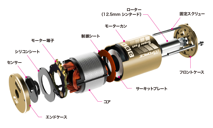 【限定:Gold & Black wire】TS50 Type-C コンボセット